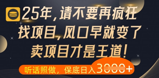 什么？25年你还在疯狂找项目做，醒醒吧，看完这些你全都懂了【揭秘】-ai轻创