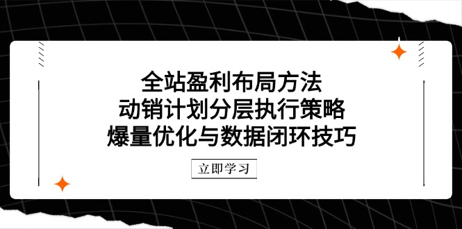 全站盈利布局方法：动销计划分层执行策略，爆量优化与数据闭环技巧-ai轻创