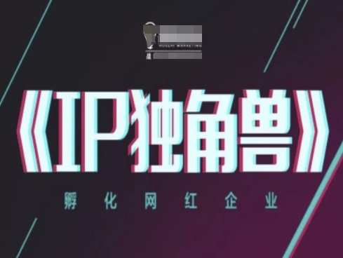 IP独角兽，孵化网红企业，ip教程-ai轻创
