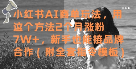 小红书AI商单玩法，用这个方法2个月涨粉7W+，新手也能接品牌合作(附全套指令模板)-ai轻创