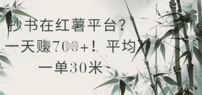 抄书在小红薯平台？平均一单30米，一天收益几张！-ai轻创