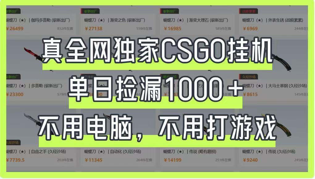 真全网独家CSGO挂机，单日捡漏1000+，不用电脑，不用养号-ai轻创