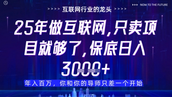 什么！25年你还在找项目做？风口早就变了，卖项目才是稳挣不赔【揭秘】-ai轻创