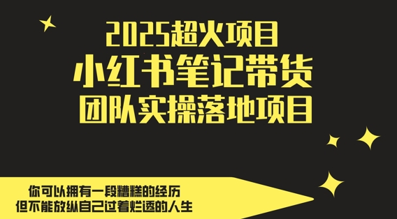 2025超火项目，副业最佳选择，小红书笔记带货团队实操落地项目，，轻松日入5张-ai轻创