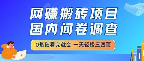 网创搬砖项目，国内问卷调查，小白轻松上手，一天三四张的也不难，干就完了【揭秘】-ai轻创
