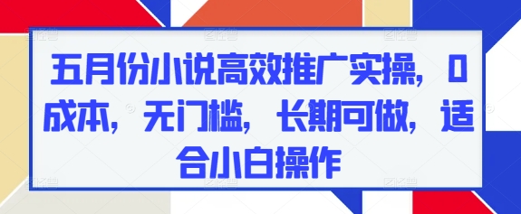 五月份小说高效推广实操，0成本，无门槛，长期可做，适合小白操作-ai轻创