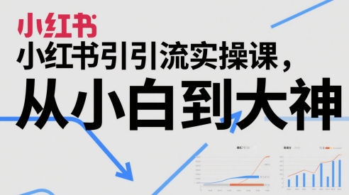 小红书引流实操课，从小白到大神-ai轻创