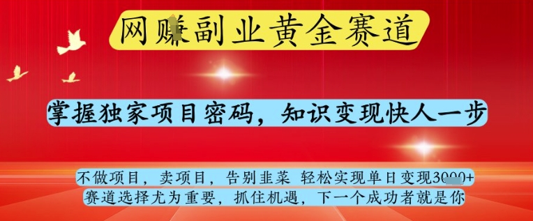 网创副业黄全赛道，掌握独家项目密码，知识变现快人一步，告别韭菜轻松实现单日变现1k+【揭秘】-ai轻创