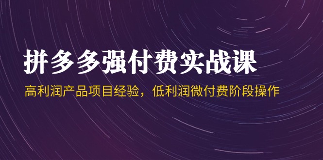 拼多多强付费实战课-44期，高利润产品项目经验，低利润微付费阶段操作-ai轻创