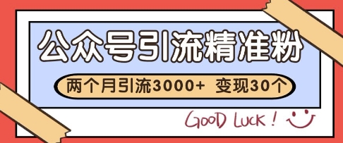 公众号精准粉引流玩法，2个月3000+精准粉，变现30个W【揭秘】-ai轻创