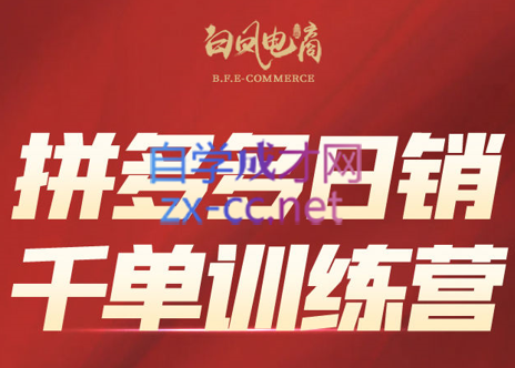 白凤电商·拼多多日销千单训练营(更新5月)-ai轻创