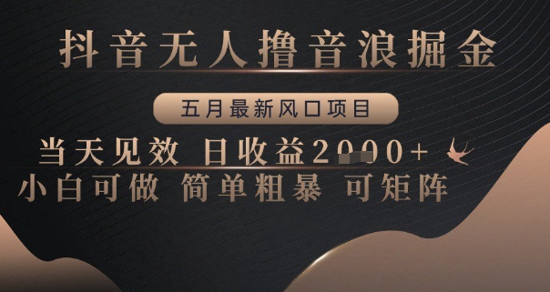 抖音无人撸音浪掘金，五月最新风口项目，当天见效，日收益多张，小白可做简单粗暴可矩阵【揭秘】-ai轻创