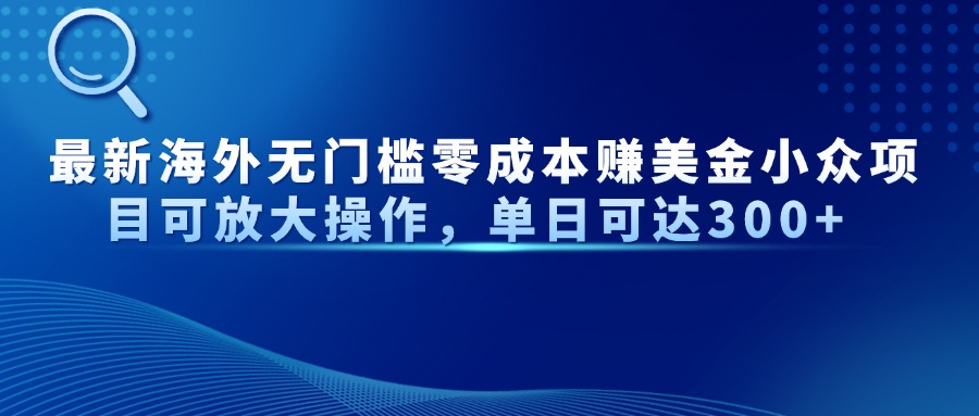 最新海外无门槛零成本赚美金小众项目可放大操作，单日可达300+-ai轻创