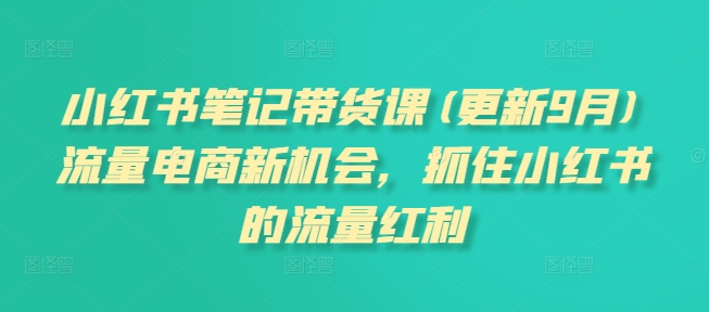 小红书笔记带货课(更新25年4月)流量电商新机会，抓住小红书的流量红利-ai轻创