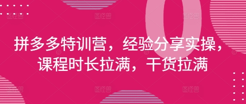 拼多多特训营，经验分享实操，课程时长拉满，干货拉满(更新25年4月)-ai轻创
