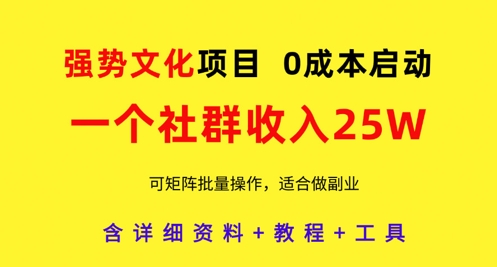 强势文化项目，一个社群收入25个W，0成本启动，可矩阵批量操作，原创详细实操教程-ai轻创