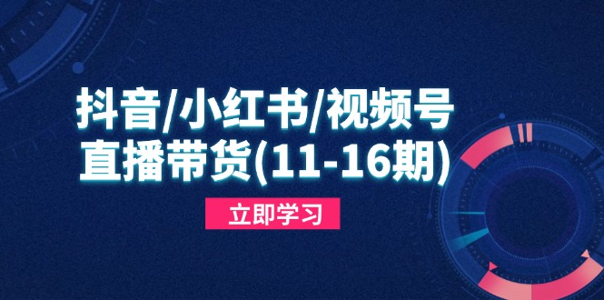 抖音/小红书/视频号/直播带货(11-16期-ai轻创