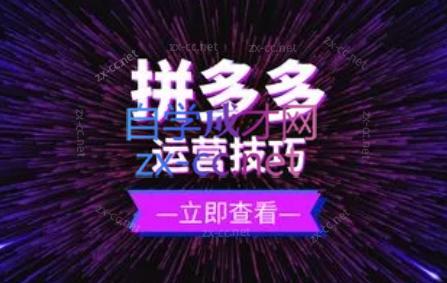 力辛电商·拼多多强付费店群玩法-ai轻创