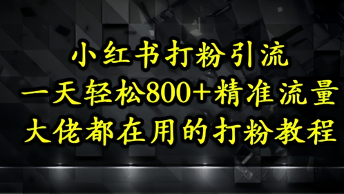 小红书打粉引流，一天轻松500+精准流量，大佬都在用的打粉教程-ai轻创