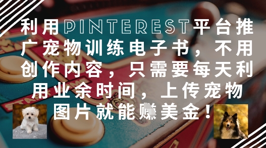 利用Pinterest平台推广宠物训练电子书，不用创作内容，只需要每天利用业余时间，上传宠物图片就能挣美金!-ai轻创