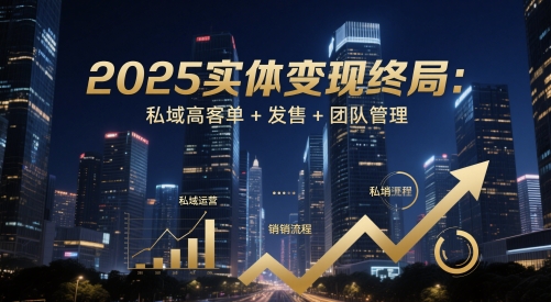 2025实体变现终局：私域高客单+发售+团队管理-ai轻创