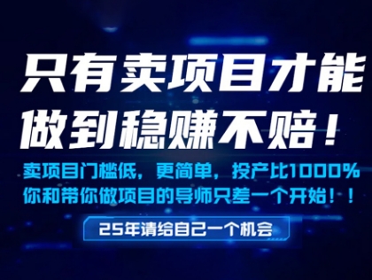 只有卖项目才能做到稳挣不赔，门槛低，更简单，你也可以年入百个W【揭秘】-ai轻创