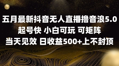 2025五月最新无人直播撸音浪单日产出5张+实操教程【揭秘】-ai轻创