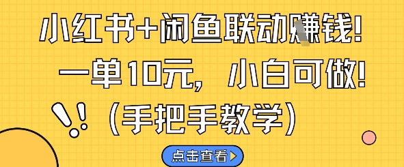 小红书+闲鱼联动挣钱，一单10元，小白可做-ai轻创