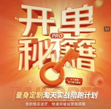淘宝开单秘籍PRO，量身定制淘天实战陪跑计划，告别做店迷茫、快速突破运营瓶颈期(更新)-ai轻创