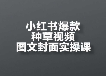 小红书爆款种草视频图文封面实操课，​开店、选品、引流、变现全流程-ai轻创