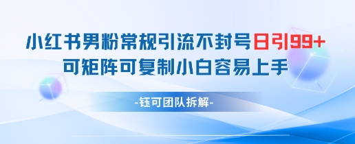 小红书男粉常规引流不封号日引99+变现简单 可矩阵可复制小白容易上手-ai轻创