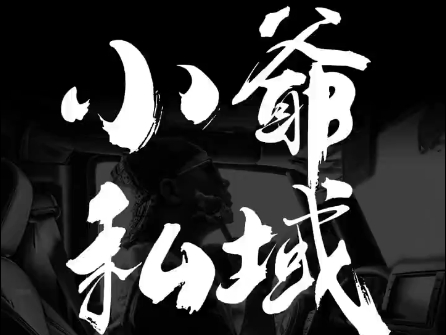 小爷·私域项目操盘手-ai轻创