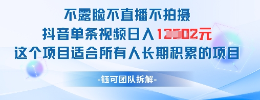 不露脸不直播不拍摄抖音单条视频日入1k+这个项目适合所有人长期积累的项目-ai轻创